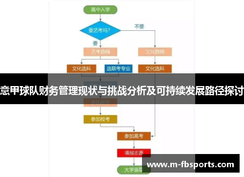 意甲球队财务管理现状与挑战分析及可持续发展路径探讨