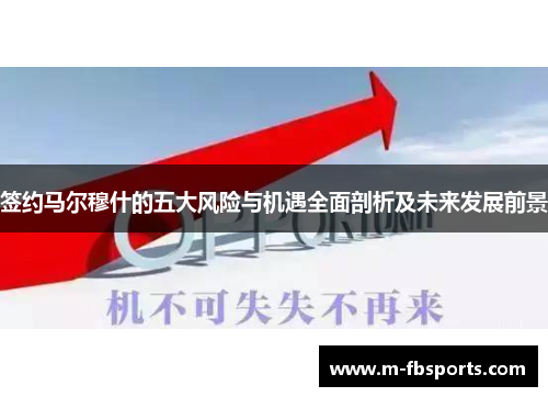 签约马尔穆什的五大风险与机遇全面剖析及未来发展前景