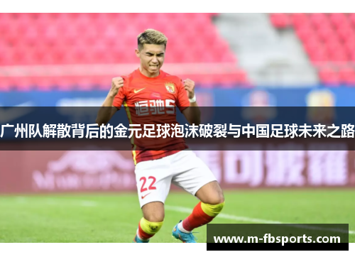 广州队解散背后的金元足球泡沫破裂与中国足球未来之路