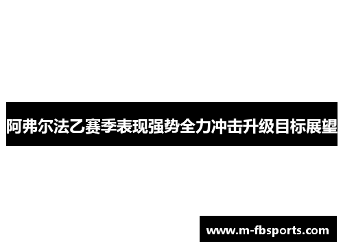 阿弗尔法乙赛季表现强势全力冲击升级目标展望